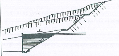 Picture1
